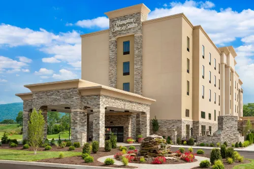 Hampton Inn & Suites Williamsport-Faxon Exit - Gym