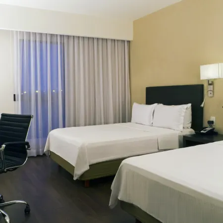 Fiesta Inn Leon