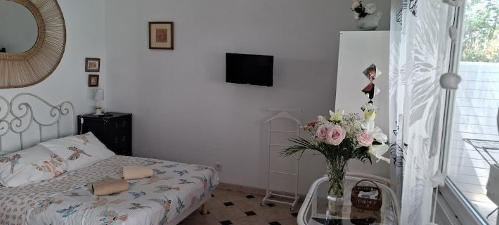 Small 30m2 house for 2 people on private property with swimming pool Hotels in Fréjus
