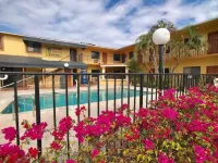 Sunny Palms Inn - parking
