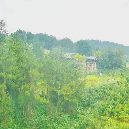 Cili Canyon Love Hotel (Zhangjiajie Grand Canyon Scenic Area)