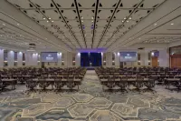 Hilton Norfolk The Main