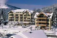 Historic Hotel Falken