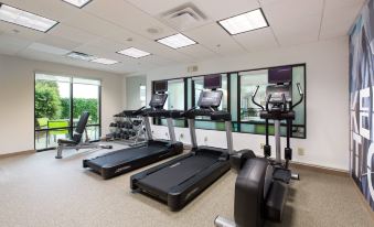 a well - equipped gym with various exercise equipment , including treadmills and weight machines , near large windows at SpringHill Suites Florence