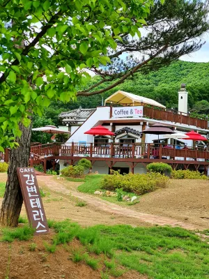 Yangpyeong Adonis