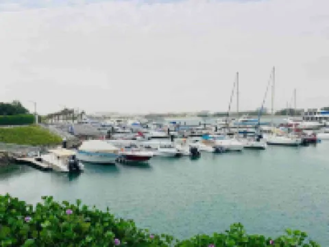 Newly Renovated Gulf Studio with Gym Beach Pool Access 奧扎瑞哈奧哈馬酒店