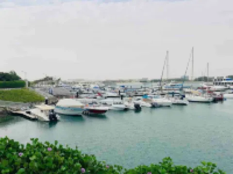 Newly Renovated Gulf Studio with Gym Beach Pool Access