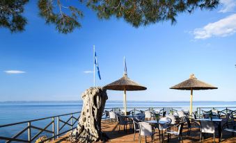 Blue Dolphin Hotel