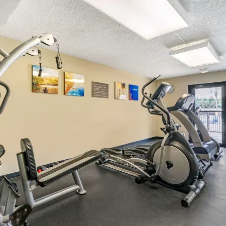 Comfort Inn & Suites St Pete - Clearwater International Airport