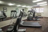 Quality Inn and Suites St Charles -West Chicago - Gym