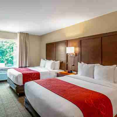 Comfort Suites Fishkill Near Interstate 84 Rooms