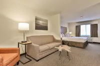 Best Western Mountain View Inn