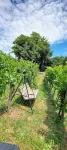Vineyard Cottage Vercek Hotels near Galerija Simulaker