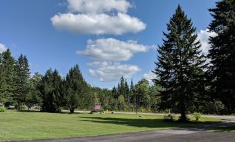 Pine Tree Motel & Cabins
