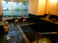Yudanaka Tawaraya Ryokan - spa