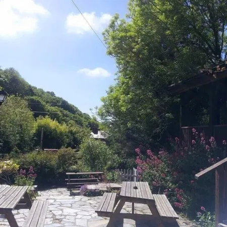 The Mill House