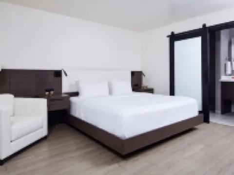 The Nest Hotel Palo Alto Hotels in Palo Alto