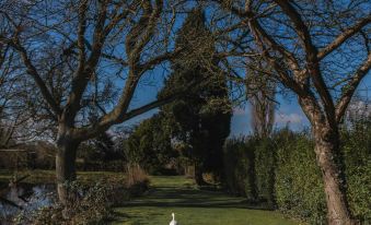 a white swan is walking down a path through a lush green park , surrounded by trees and bushes at Healing Manor Hotel