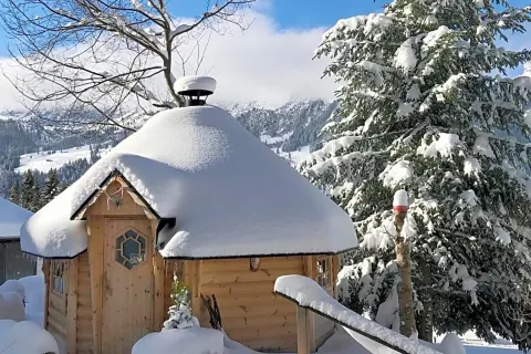 알파인 호텔 웬겐