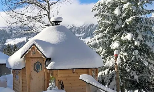 알파인 호텔 웬겐