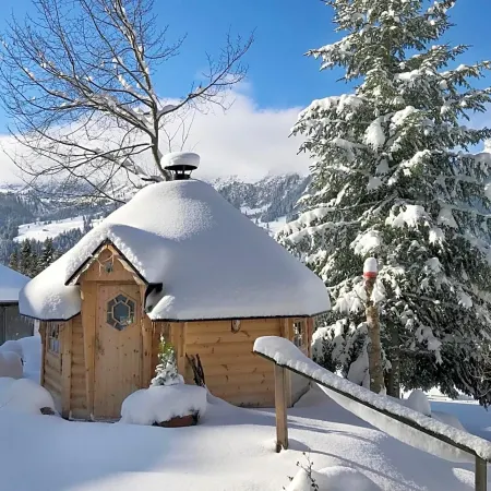 Braunbär Hotel & Spa - Former Alpine Sunstar Hotel