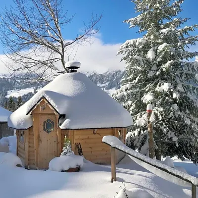 Braunbär Hotel & Spa | Wengen (Former Alpine - Sunstar Hotel)