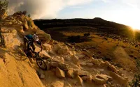 Super 8 by Wyndham Fruita
