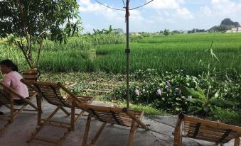 Tam Coc Rice Fields Homestay