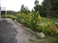 Orangeville Motel Hotels in Erin