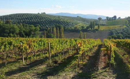 Bed & Breakfast San Marco - Housity