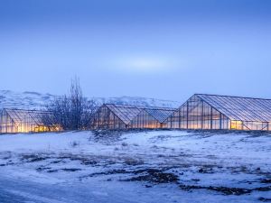 The Greenhouse Hotel