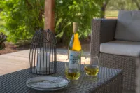 Sundance Studio w/Hot Tub&Grill Hotels in Gillespie County