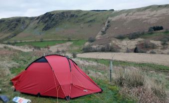 Dolgoch Hostel