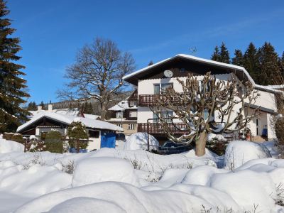 Ski & Garden Nest
