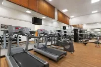 Golden Sands Hotel & Residences Sharjah - Gym