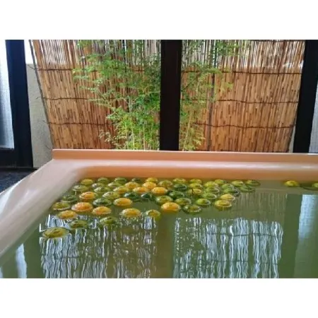Sanuki Green Hotel