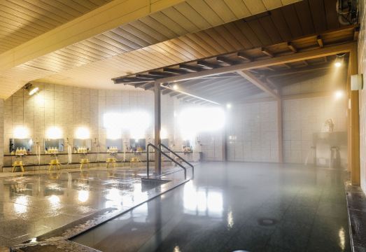 Dogo Onsen Hotel KatsuragiOver view