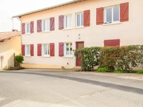 Dans la foret de Pin