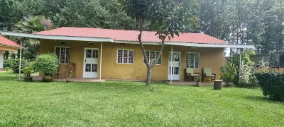 Mutolere Coffee Pot Guest Houses Hotels near Bwindi Impenetrable Forest National Park