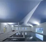 佩德拉什薩爾加達什Spa及自然公園酒店 - 溫泉