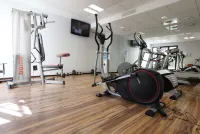 Best Western Park Hotel Geneve-Thoiry - Kuntosalit