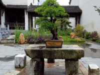 查濟墨溢園民宿 查濟古建築群住宿飯店
