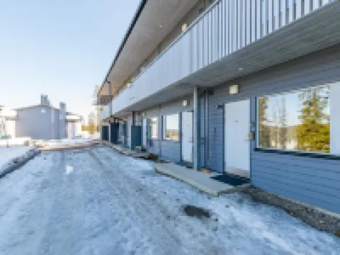 Vuosselinhelmi C6