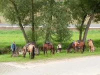 Landgasthof Feihl