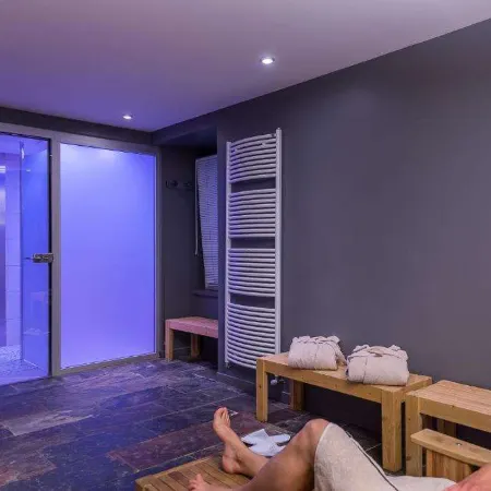 Logis le Rabelais Hôtel- Restaurant - Spa