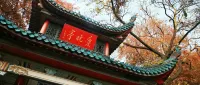 7 Days Premium (Changsha Wuyi Square Metro Station & Orange Isle Branch)