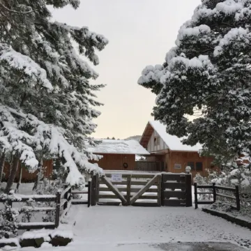 Waterside Cottage Heron