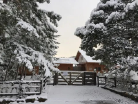 Waterside Cottage Heron