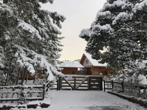 Waterside Cottage Heron