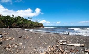 Hilo Apartment Ocean Views on the Hamakua Coast!